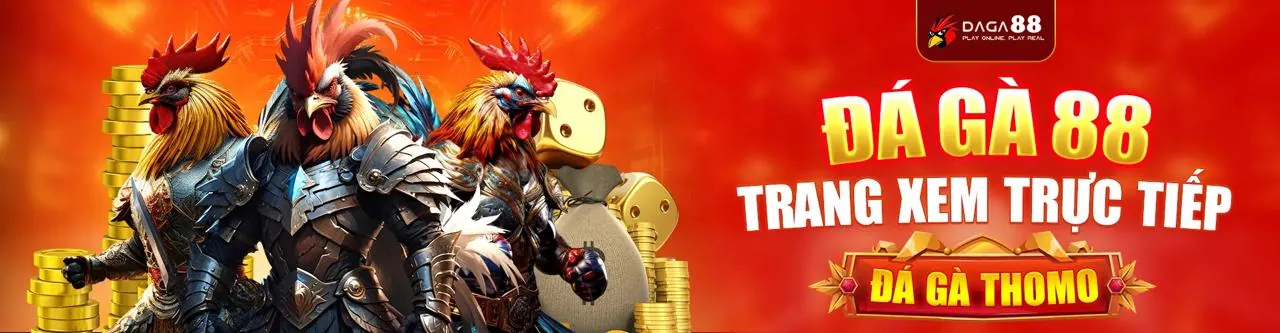 Hỗ trợ khách hàng WSTAR77